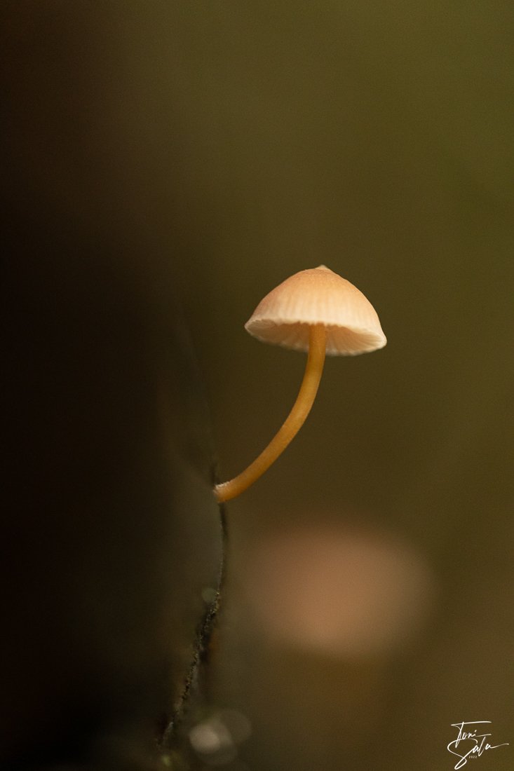 928F2AA6 00B3-4695-8258-542CA3304312