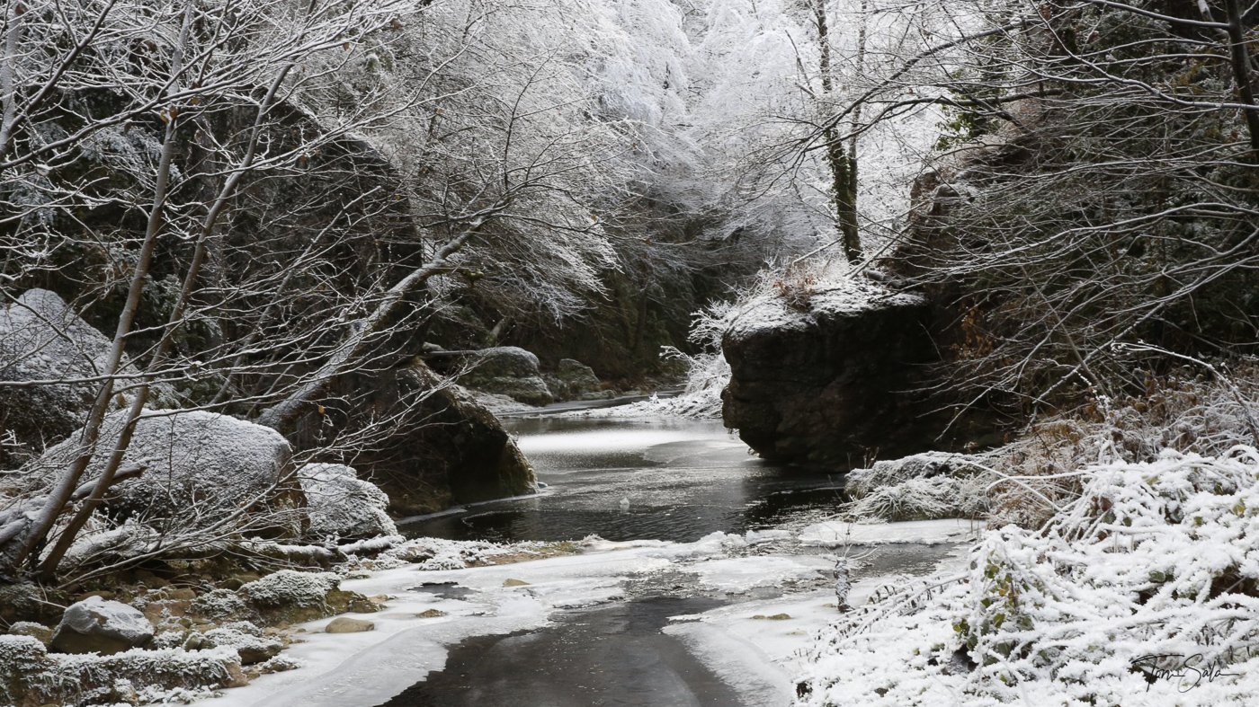 SSgvr49JSFeFIiIrjMsx_Q